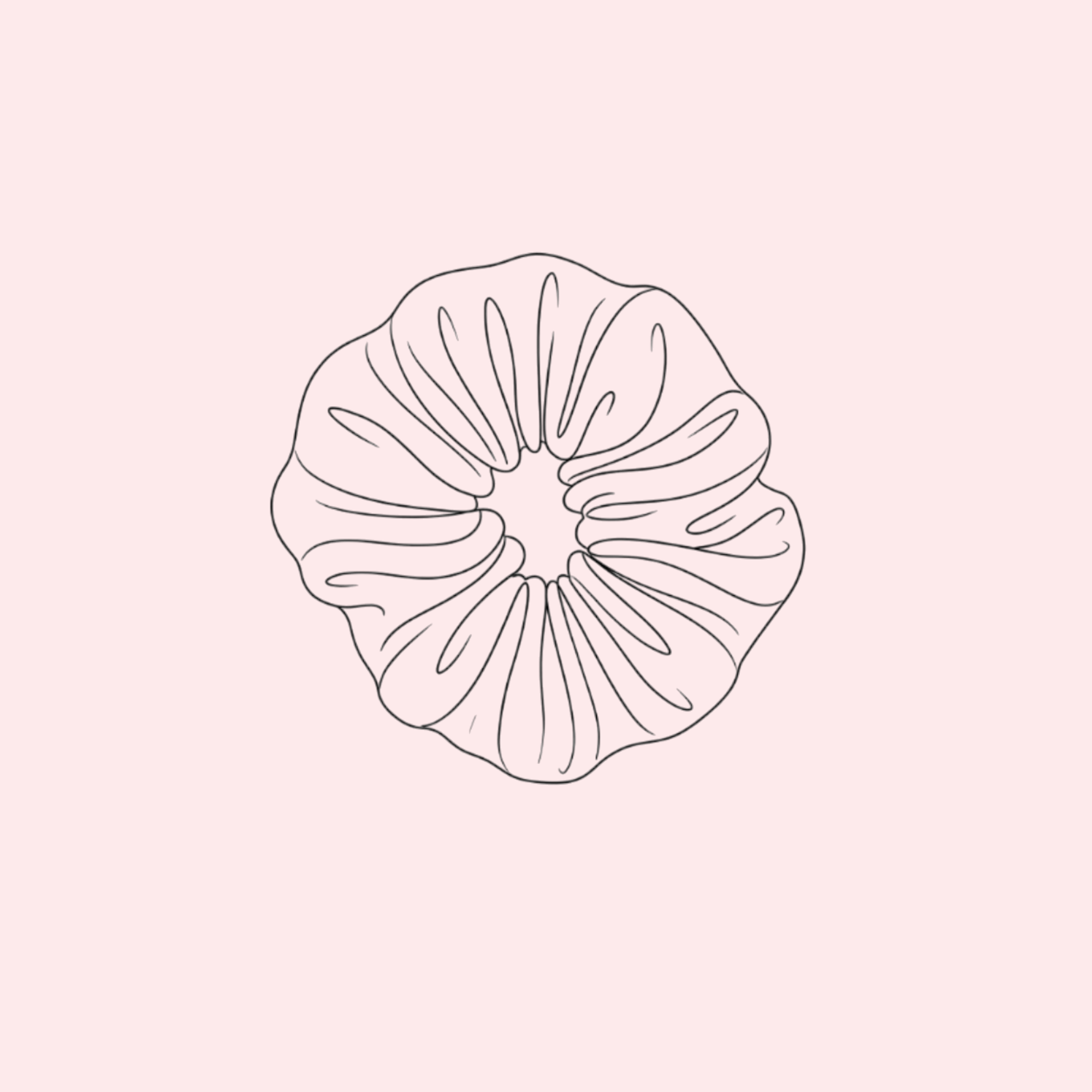 Scrunchie